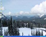 Mt. Rainier National Park