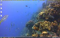 Underwater camera